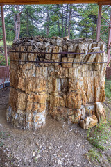 Conservation of a petrified tree stump in the stump shelter of the Florissant Fossil Beds National...