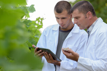 two agronomist taking a sample