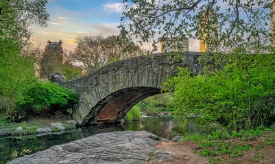 Papier Peint photo Pont de Gapstow Gapstow Bridge in Central Park,early spring