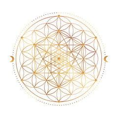 Sacred Geometry Symbol. Vector illustration. Mystic esoteric Flower of Life. Golden Seed of life. Mandala lotus flower