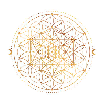 Sacred Geometry Symbol. Vector illustration. Mystic esoteric Flower of Life. Golden Seed of life. Mandala lotus flower