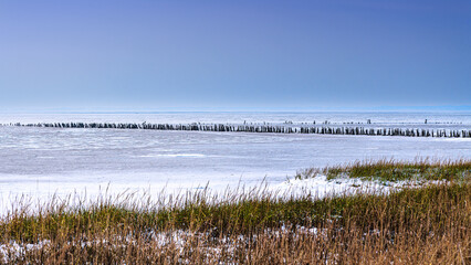 Wintersonne am Wattenmeer