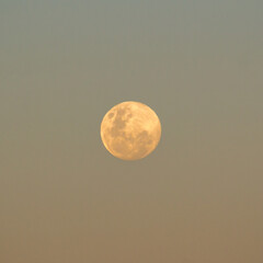 Close-Up of an orange full moon against an orange and blue sky at sunset.