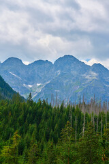 Fototapeta na wymiar Amazing view on mountains range near forest trees at summer day. Tatra National Park in Poland