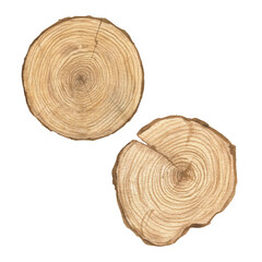 Watercolor illustration of set wood texture, round cut of wood, wooden rings isolated. Sawn wood. Handmade. - obrazy, fototapety, plakaty