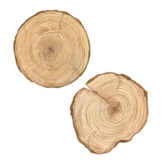 Fotobehang Watercolor illustration of set wood texture, round cut of wood, wooden rings isolated. Sawn wood. Handmade. © dakora