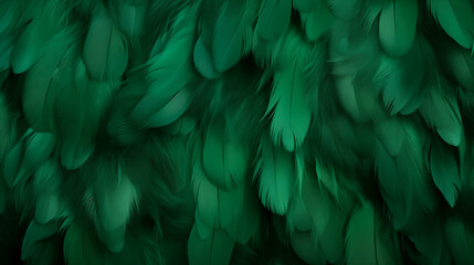 Green feathers background - obrazy, fototapety, plakaty