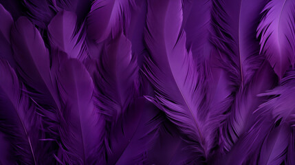 Fototapeta premium Purple feathers background