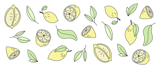Lemon set. Vector illustration in doodle style.