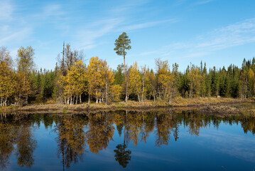 	
Herbst in Schweden an einem kalten Morgen	

