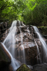 Obraz premium 奈良-【鶏鳴の滝】