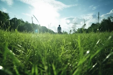 Poster A man standing in the middle of a lush green field © pham