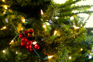 クリスマスの飾りつけ