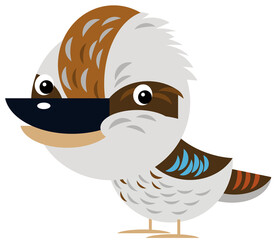 Cartoon australian animal bird kookaburra on white background illustration for children