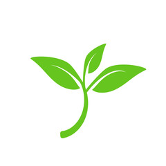 Fototapeta premium Green leaves isolated on white. Vector illustration design element