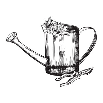 recommend clip art: Hand-drawn ink illustration. Watering can with garden scissors. Vector
