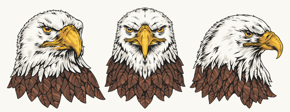American eagle set sticker colorful