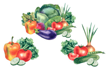 Watercolor set of vegetables, onions, peppers, broccoli, tomatoes, cucumber, eggplant, cabbage. The illustration is hand-drawn on a white background. For designers, postcards, stickers.
