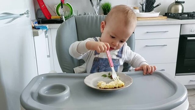 A little caucasian boy sits in the kitchen in a highchair and picks food on his plate with a fork. First feeding