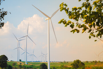 Windmills for electric power production.