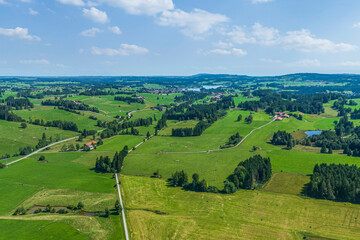 Obraz premium Sommer im ostallgäuer Alpenvorland zwischen Roßhaupten und Lechbruck