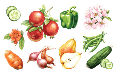 Watercolor painted collection of vegetables and fruits. Hand drawn fresh food design elements isolated on white background