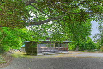 千歳神社