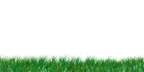 green grass border on transparent background. the horizon of the green lawn. green field frame....