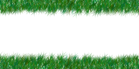 Papier Peint photo Vert green grass border on transparent background. the horizon of the green lawn. green field frame. background