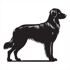 Dog Silhouette - Diving Retrievers, Water-Loving Pups, and Aquatic Canines Splashing in Lively Silhouettes - Minimallest dog black vector
