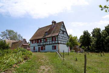 Fototapeta na wymiar Facades of historic half-timbered houses Alsace, France