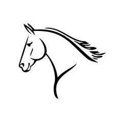 Portrait of a riding horse, vector line art