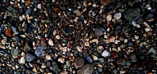 rock