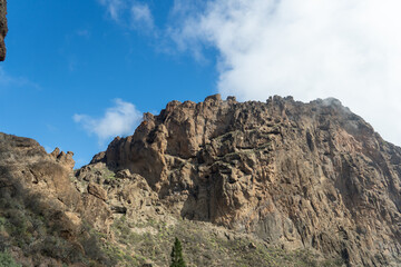 landscape with blue sky