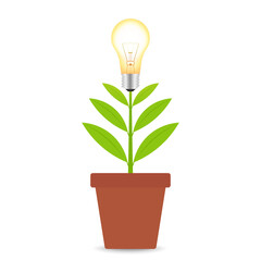Growing Plant with Light Bulb. Saving Electricity and Energy. Green Energy or Renewable Energy. Eco- Friendly Concept. 