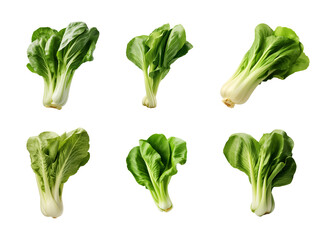 collection of bok choy vegetables isolated on a transparent background - obrazy, fototapety, plakaty