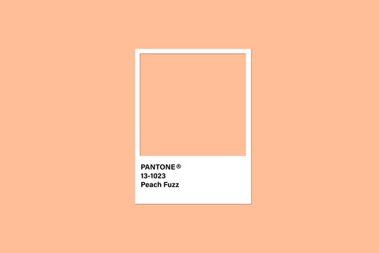 Pantone Peach Fuzz 13-1023. Color de tendencia del a&ntilde;o 2024.
