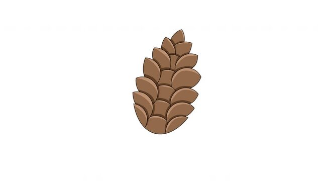 Pinecone icon animation video