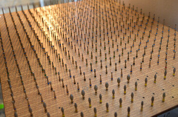 Dental burs presented on a stand