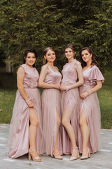 Group portrait of the bride and bridesmaids. Bride in a wedding dress and bridesmaids in pink or...