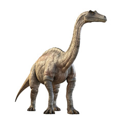 brontosaurus apatosaurus 3d render white transparent background