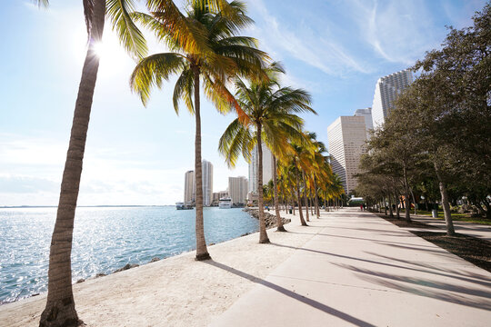 Walking path in Bayfront Park along Biscayne Bay in downtown Miami
