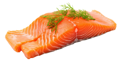 fresh salmon fish fillet isolated on white or transparent png