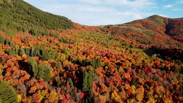 Snowbasin Ski Resort Utah Peak Fall Moutain Colors 