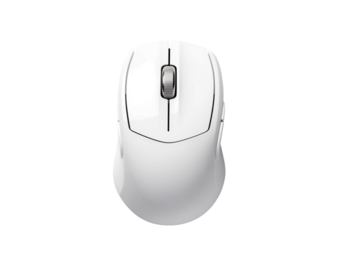 computer mouse isolated on white