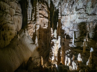 The cave Postojna Cave in Slovenia