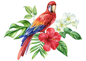 Tropical card, beautiful bird red parrot macaw and plant watercolor on a white background, summer composition, holiday