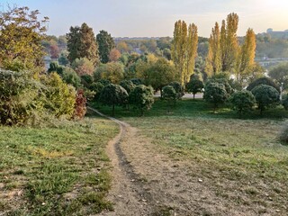 Autumn morning in the park - sun rays among the trees