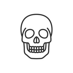 Fototapeta premium Skull, linear icon. Line with editable stroke