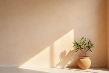 A potted plant in a corner of a room